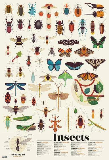 Poppik - Discovery Poster with Stickers -  Insects