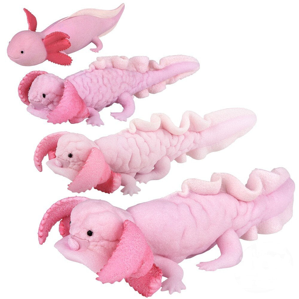 Two 6" Growing Axolotls