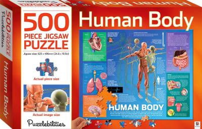 Human Body: 500 Piece Jigsaw Puzzle (Puzzlebilities)