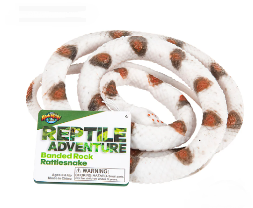 Rubber Banded Rock Rattlesnake