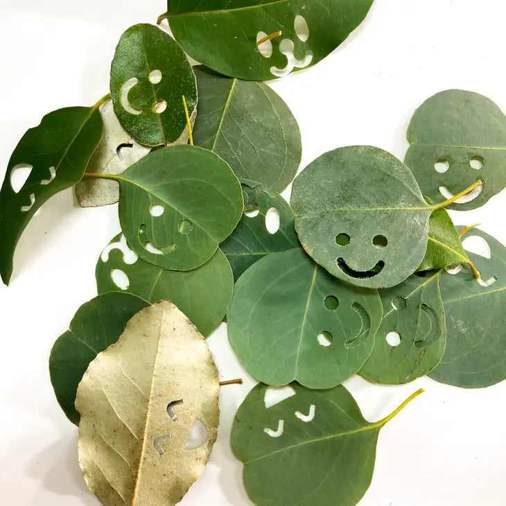 Smiling Leaves LLC - Smiling Leaves Nature Craft Tools - Leaf Punch Set