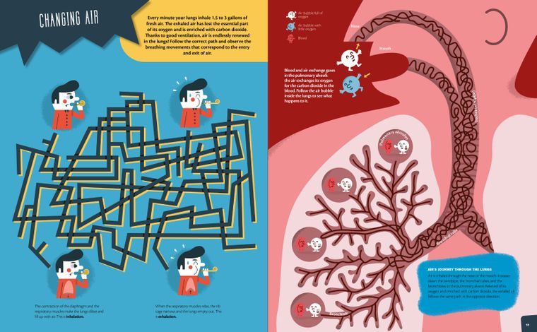 The Human Body: Interactive Mazes for Exploring