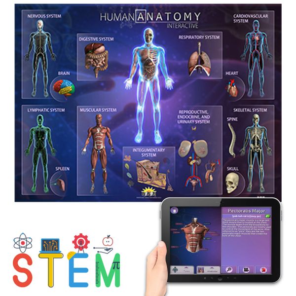Popar Toys - Human Anatomy Smart Mats Set Of 4