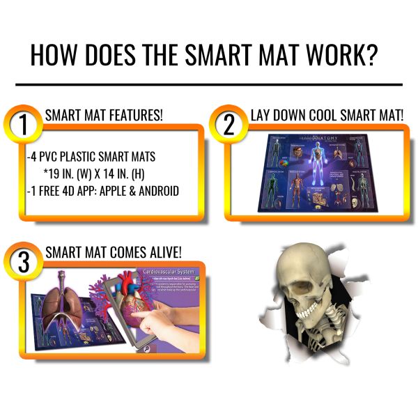 Popar Toys - Human Anatomy Smart Mats Set Of 4