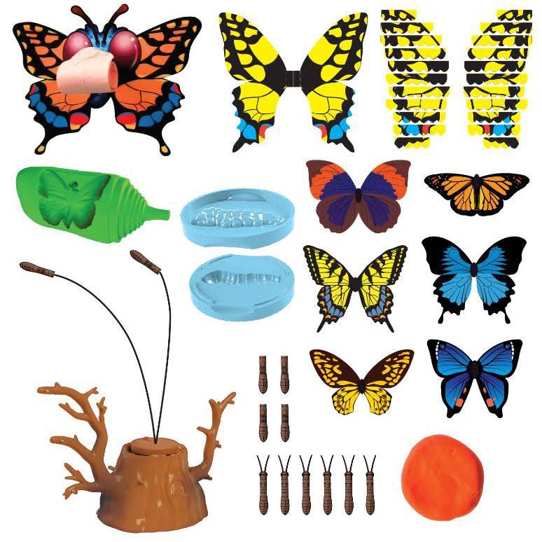 Scientific Explorer Butterfly Science